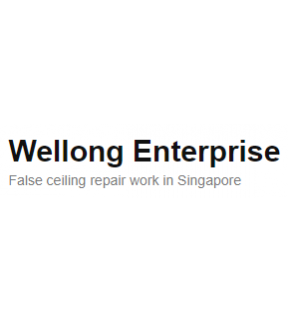Wellong Enterprise